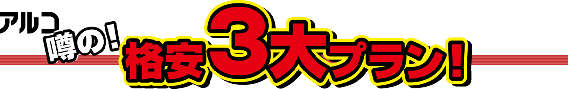 3大格安プラン